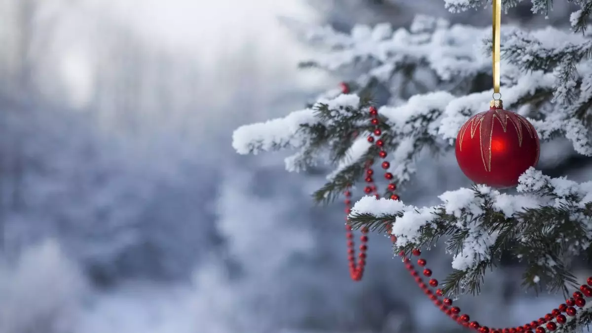 Новый 2018 год в Санатории Нехама. Санаторий Нехама прекрасная природа